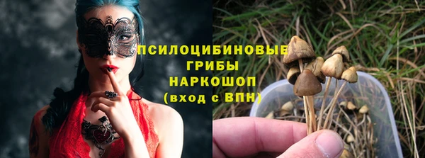 стафф Горнозаводск